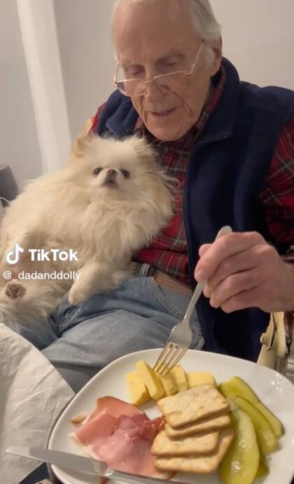 John lleva a Dolly, una perra pomerania adoptada, a donde vaya; cuidar del animal ayuda al hombre a estar alerta luego de su diagnóstico de enfermedad cognitiva