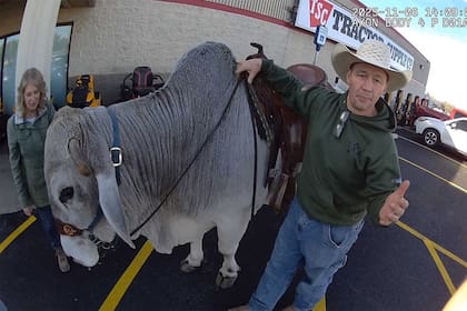 John Welsh y el toro Gus estaban de paso en Alliance, Ohio, con dirección a un rodeo en Columbiana (Facebook/City of Alliance Police Department)