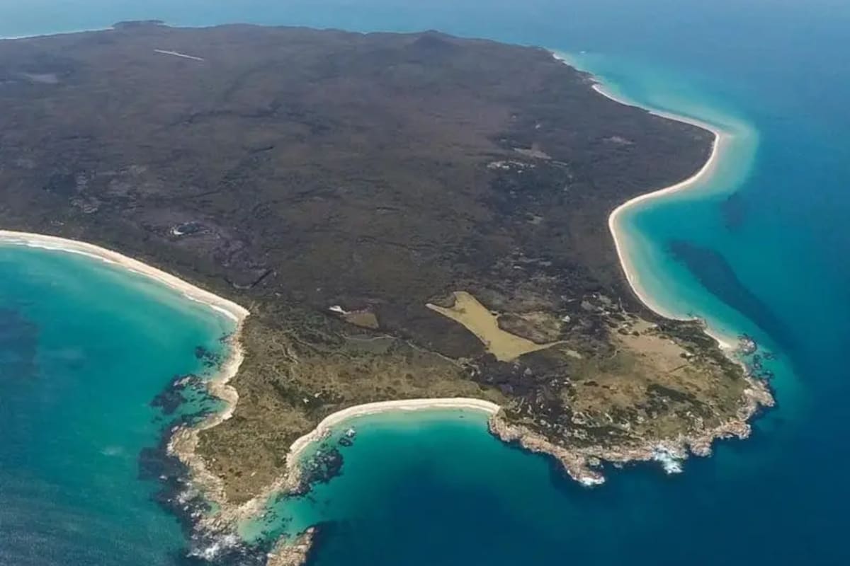 John y Eleanor Alliston decidieron emigrar desde Inglaterra junto a sus cuatro hijos tras la Segunda Guerra Mundial para comenzar una nueva vida en la remota Three Hummock Island, Australia