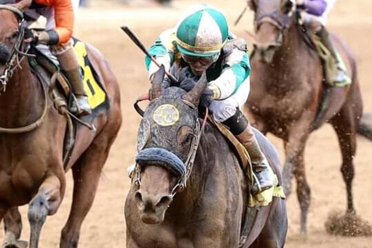 Joke Sisi atropelló en la recta final de Churchill Downs y se quedó con la victoria; la yegua es tuerta y está preñada.