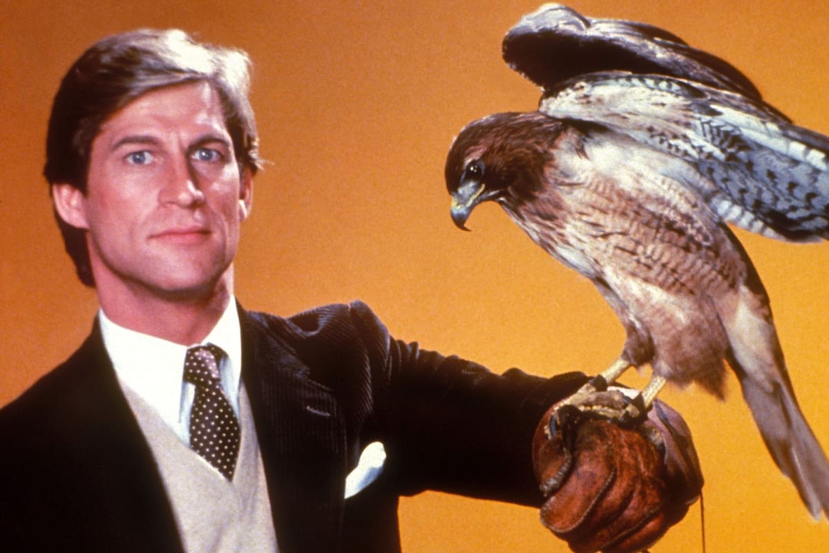 Jonathan Chase (Simon MacCorkindale), el héroe de Manimal