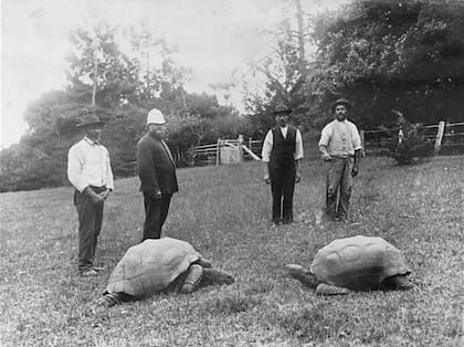 Jonathan (izquierda) con los cuidadores cuando llegó por primera vez a la isla.