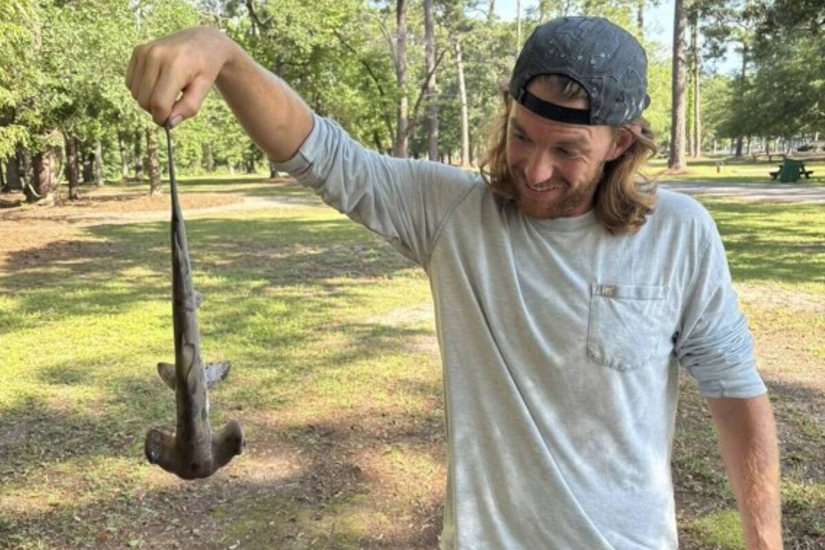 Jonathan Marlowe jugaba al disc golf en Myrtle Beach, Carolina del Sur, cuando un tiburón cayó del cielo
