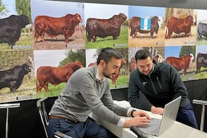 Recibieron un llamado desde España y todo cambió para un proyecto que hoy tiene 100.000 animales digitalizados