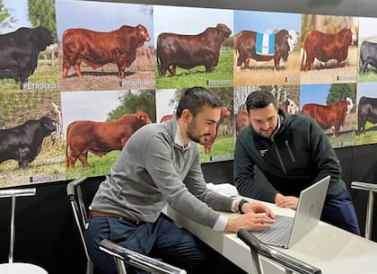 Jordán y Beldevere crearon su sartup en la pandemia, hoy llegó a Madrid y busca cambiar la forma de producir carne en la Argentina