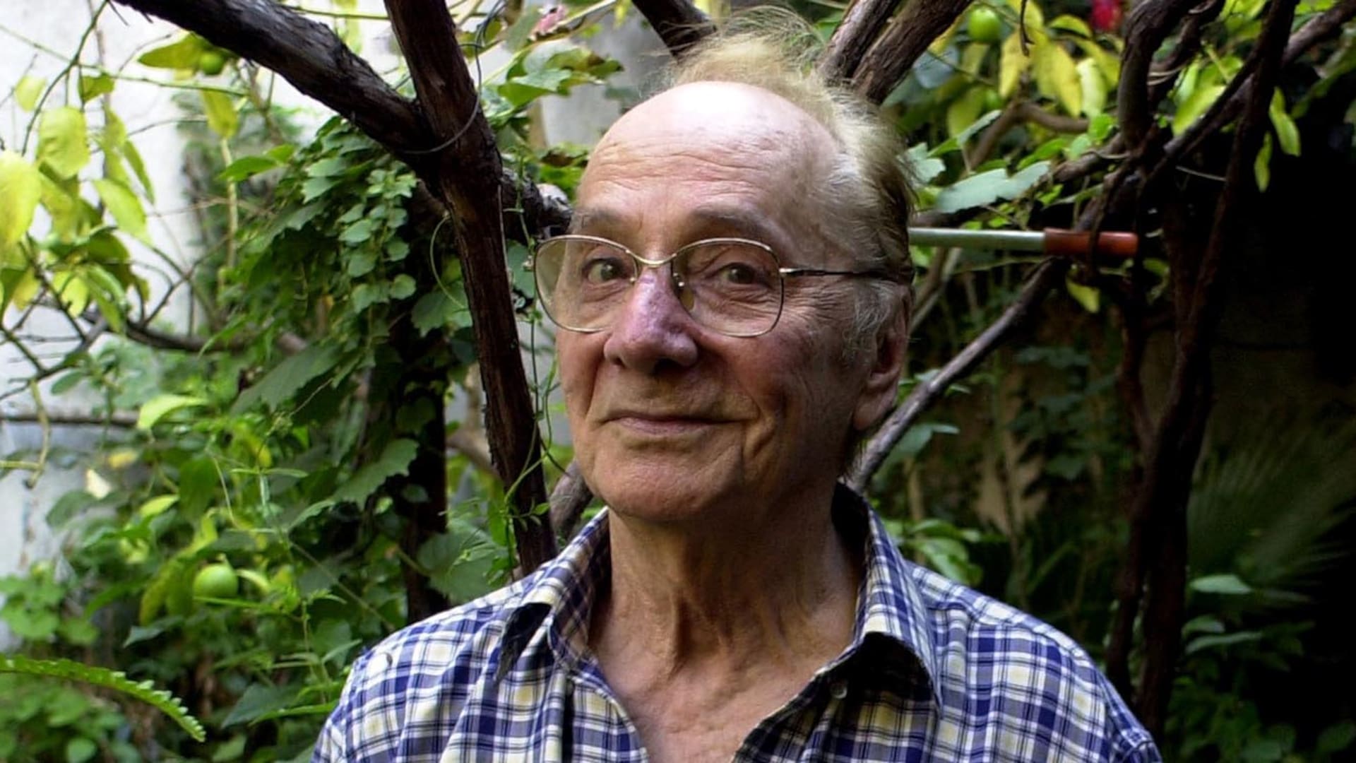 Jorge Luz