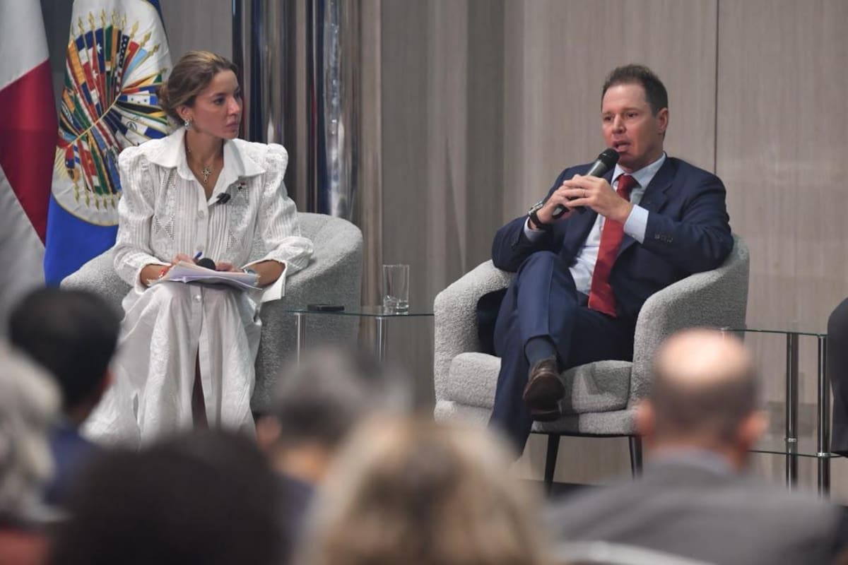 Jorge Brito, presidente de Genneia, en el encuentro empresarial organizado por la OEA