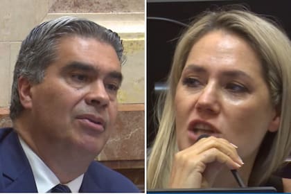 Jorge Capitanich y Carolina Losada mantuvieron un cruce en el Senado