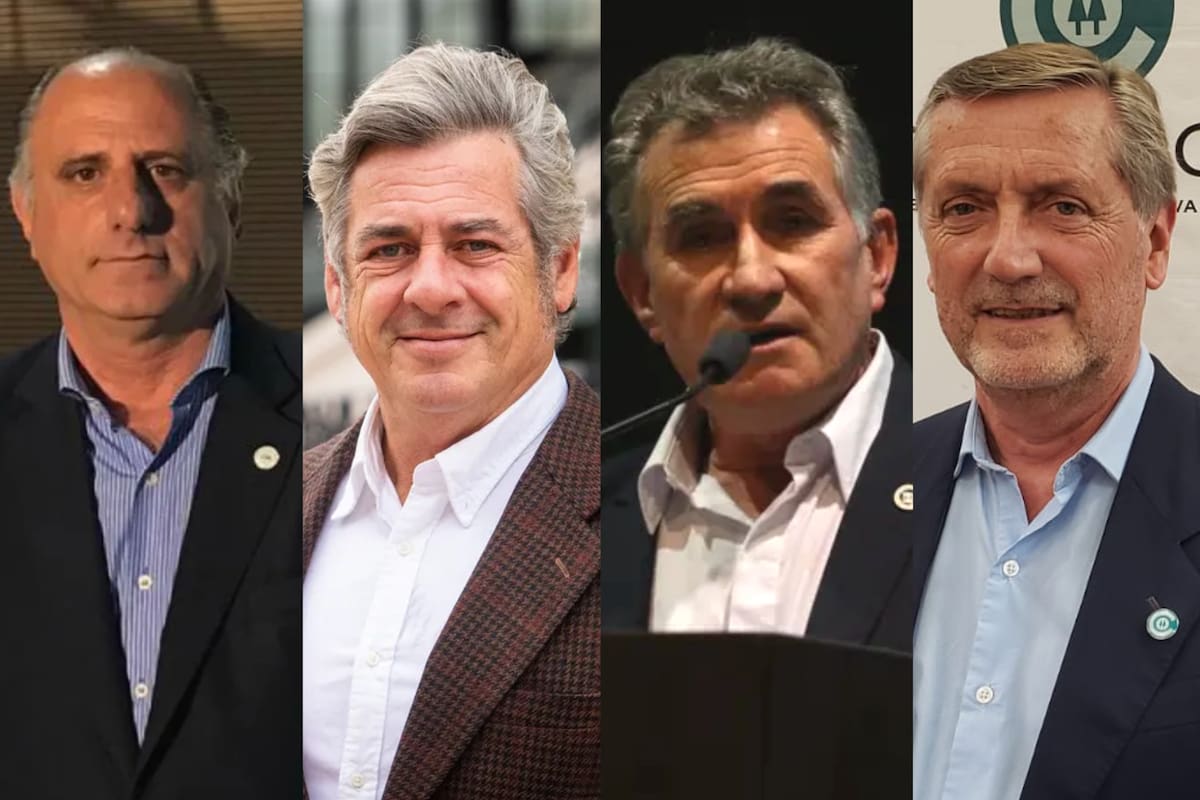 Jorge Chemes, presidente de Confederaciones Rurales Argentinas (CRA); Nicolás Pino, presidente de la Sociedad Rural Argentina (SRA); Carlos Achetoni, presidente de Federación Agraria Argentina (FAA) y Elbio Laucirica, presidente de Coninagro