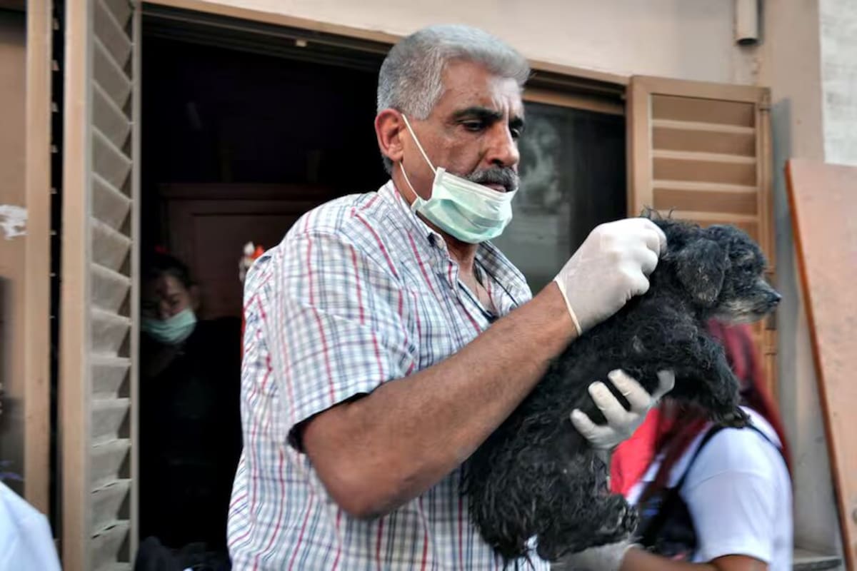 Jorge De Marco, la víctima