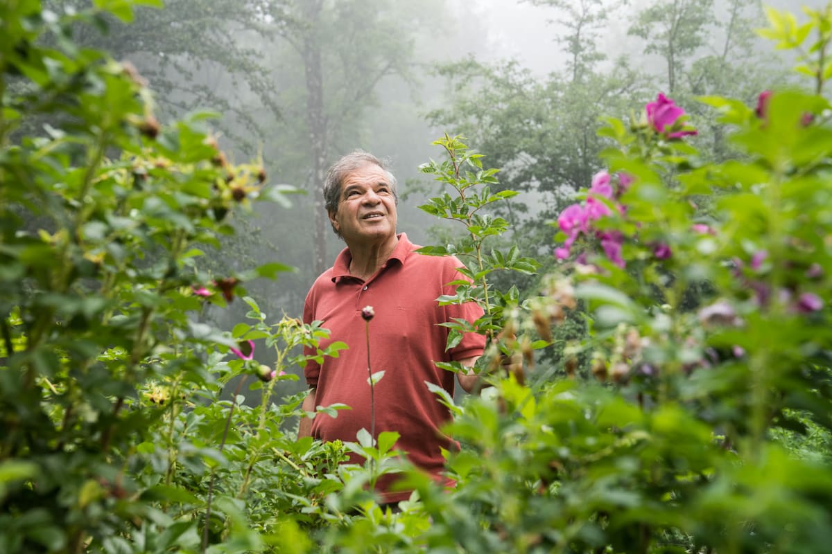 Jorge Giusto monitorea desde 1990 las 12 hectáreas donde crecen según ciclos biológicos, sin agroquímicos ni pesticidas, más de 70 variedades de árboles, arbustos, flores y hierbas.