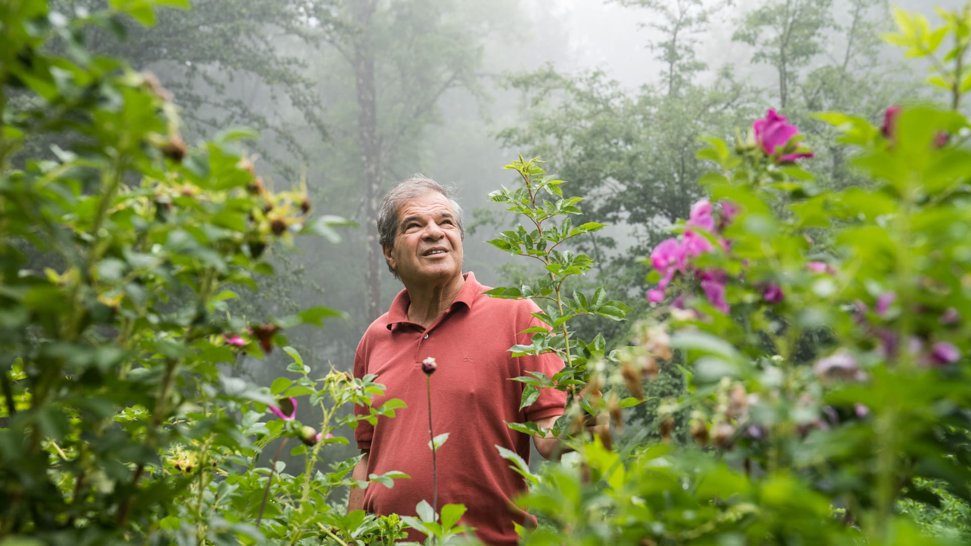 Jorge Giusto monitorea desde 1990 las 12 hectáreas donde crecen según ciclos biológicos, sin agroquímicos ni pesticidas, más de 70 variedades de árboles, arbustos, flores y hierbas.