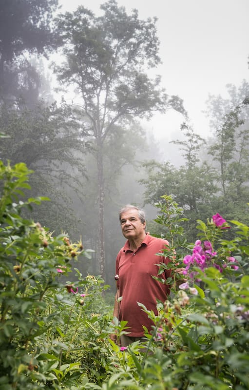 Jorge Giusto monitorea desde 1990 las 12 hectáreas donde crecen según ciclos biológicos, sin agroquímicos ni pesticidas, más de 70 variedades de árboles, arbustos, flores y hierbas.
