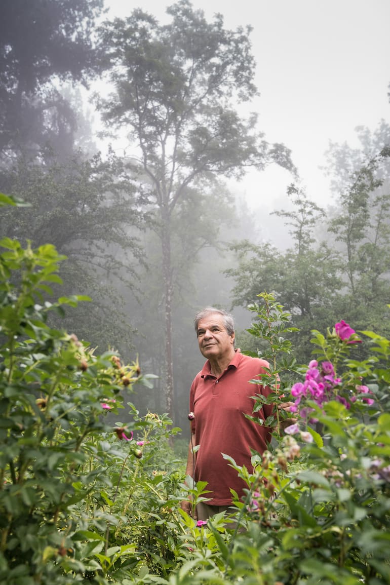 Jorge Giusto monitorea desde 1990 las 12 hectáreas donde crecen según ciclos biológicos, sin agroquímicos ni pesticidas, más de 70 variedades de árboles, arbustos, flores y hierbas.