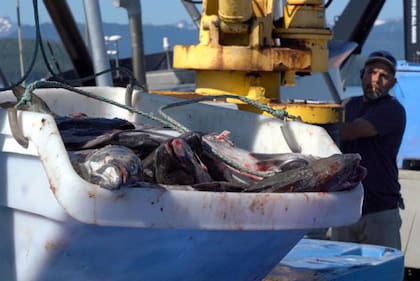Alaska genera más de la mitad de la producción de pescado de Estados Unidos.