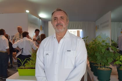 Jorge Molfino, gerente general de UPL Argentina