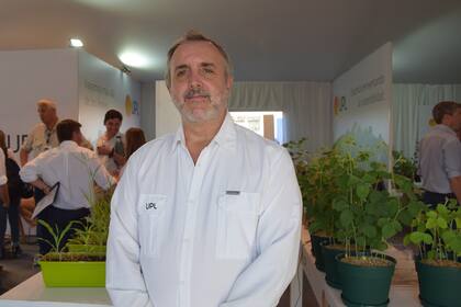 Jorge Molfino, gerente general de UPL Argentina