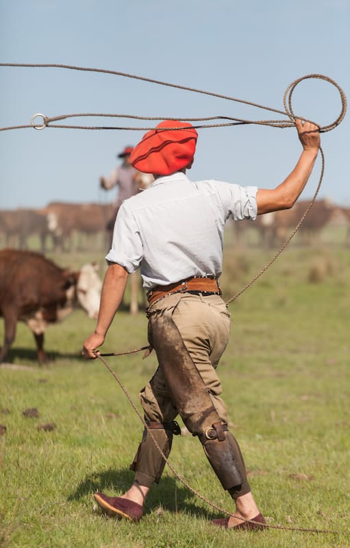 Jornada de trabajo con la hacienda en Estancia Buena Vista.