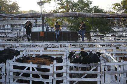 Jornadas con una amplia oferta en el mercado de Liniers