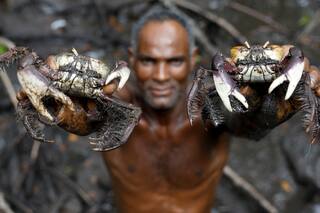 El cazador de cangrejos del río Caratingui, que lucha contra el cambio climático