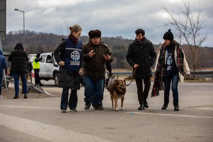 José logró cruzar la frontera junto con su perro Goya luego de separase de su familia que, hace más de diez días, también fue asistida por la Cancillería Argentina para salir de Ucrania y trasladarse a República Checa.