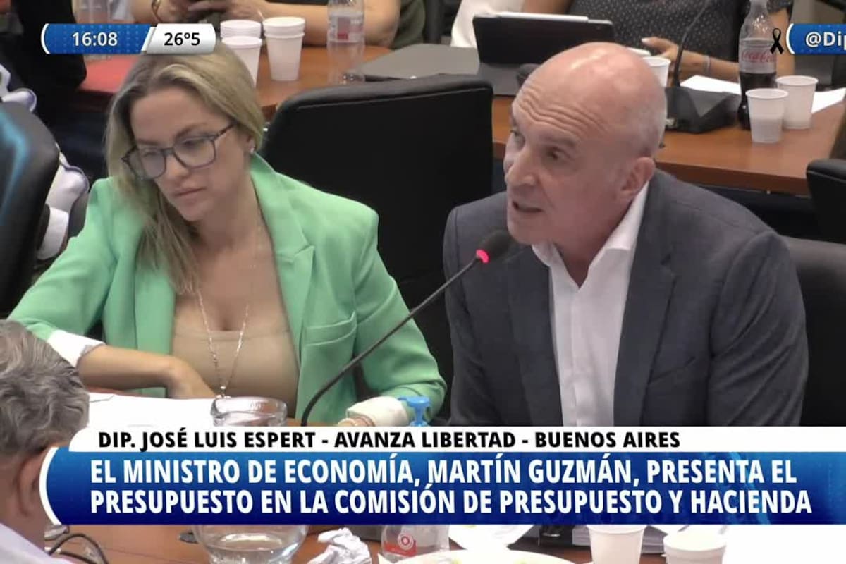 José Luis Espert apuntó contras los planes económicos del Gobierno