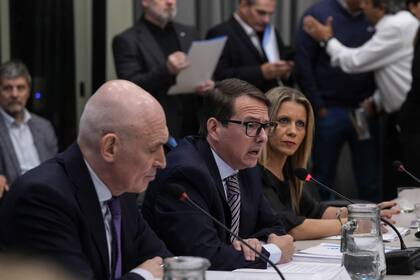 José Luis Espert, con el secretario de Hacienda, Carlos Guberman, en la Cámara de Diputados