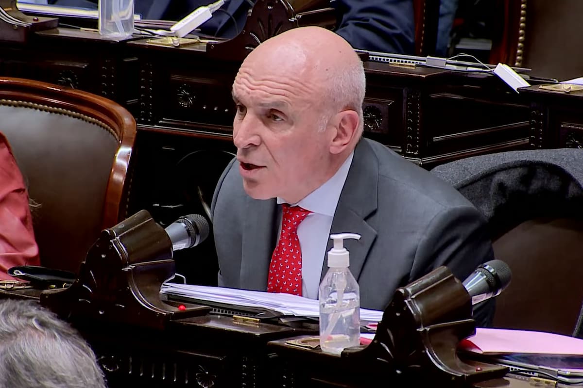 José Luis Espert durante la sesión especial de la Cámara de Diputados