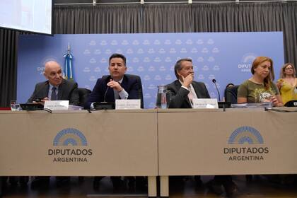 José Luis Espert, Gabriel Bornoroni, Nicolás Mayoraz y Karina Banfi durante la sexta jornada de debate en comisiones de Diputados por el proyecto de ley ómnibus