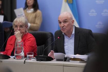 José Luis Espert, presidente de la Comisión de Presupuesto, junto a la diputada Silvana Giudici (Pro)