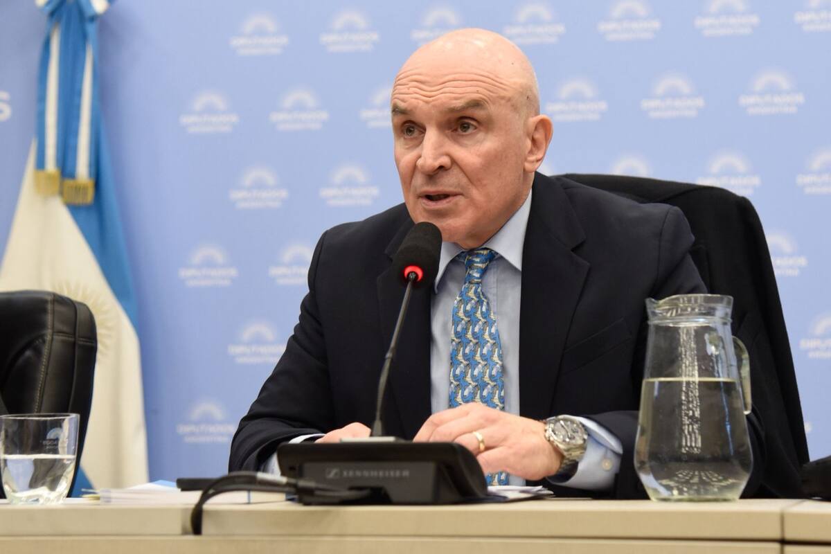 José Luis Espert, presidente de la Comisión de Presupuesto de la Cámara baja