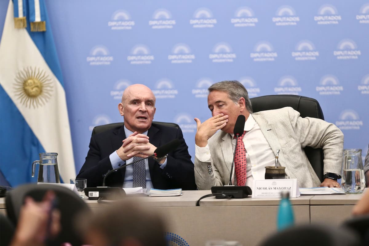 José Luis Espert y Nicolás Mayoraz, diputados libertarios que estuvieron al frente del plenario de comisiones del martes