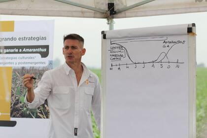 José Luis Zorzín, ingeniero agrónomo de Aapresid