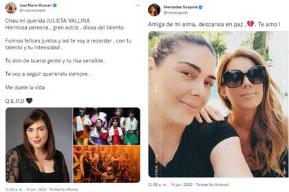José María Muscari y Mercedes Scapola se despidieron de Julieta en redes (Foto: Twitter @muscarijoseok / @meyscapola)