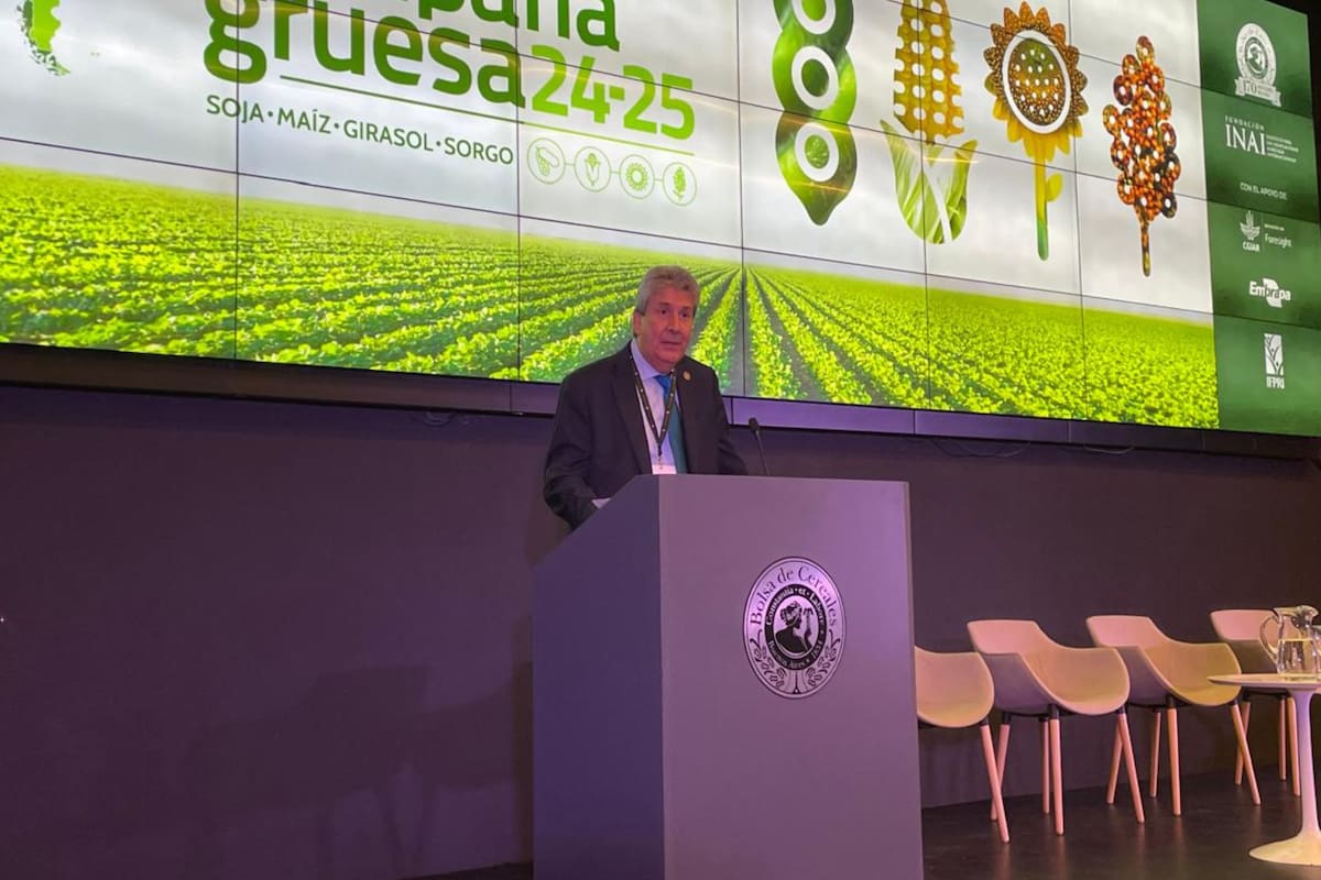 José Martins, presidente de la Bolsa de Cereales de Buenos Aires. Foto: Bolsa de Cereales de Buenos Aires