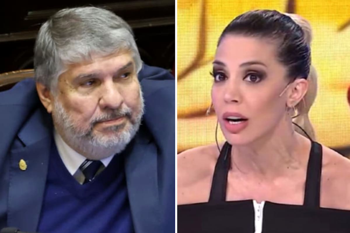 José Mayans tildó de “tonta y estúpida” a Virginia Gallardo y la candidata a diputada lo cruzó en redes sociales