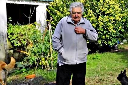 José Mujica en su chacra