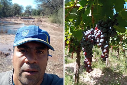 José Muñoz, productor vitivinícola, olivícola y apicultor de Tinogasta, Catamarca