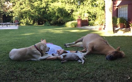 Josefina, junto a sus perros y a Susana, el poni que vive en el Tortugas Country Club
