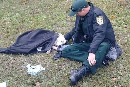 Josh Fiorelli se hizo famoso por su buen gesto