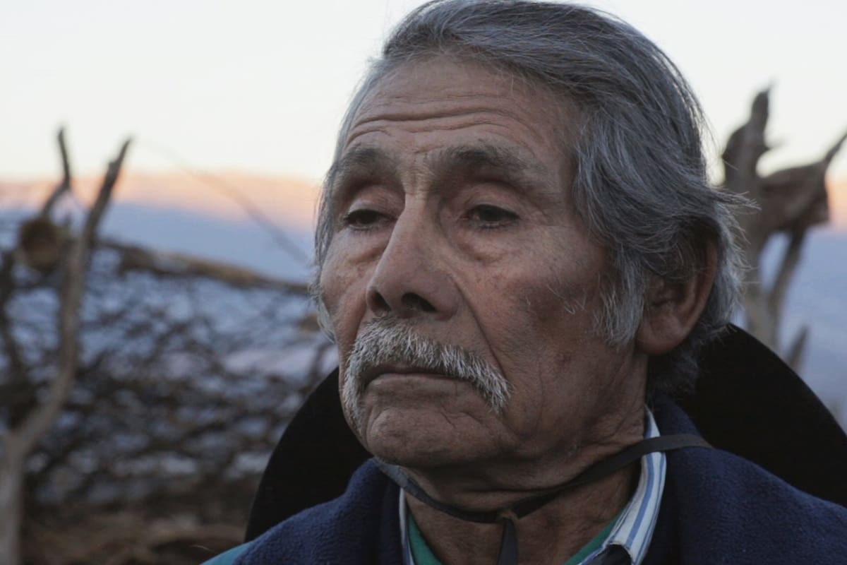 Juan Armando Soria