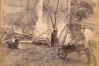 El día que los gauchos se hicieron jardineros y crearon bellos paisajes