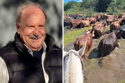 Juan Capozzolo, productor de Reconquista, evacúa vacas de las islas: “Si empieza a llover, va a ser muy dramático”