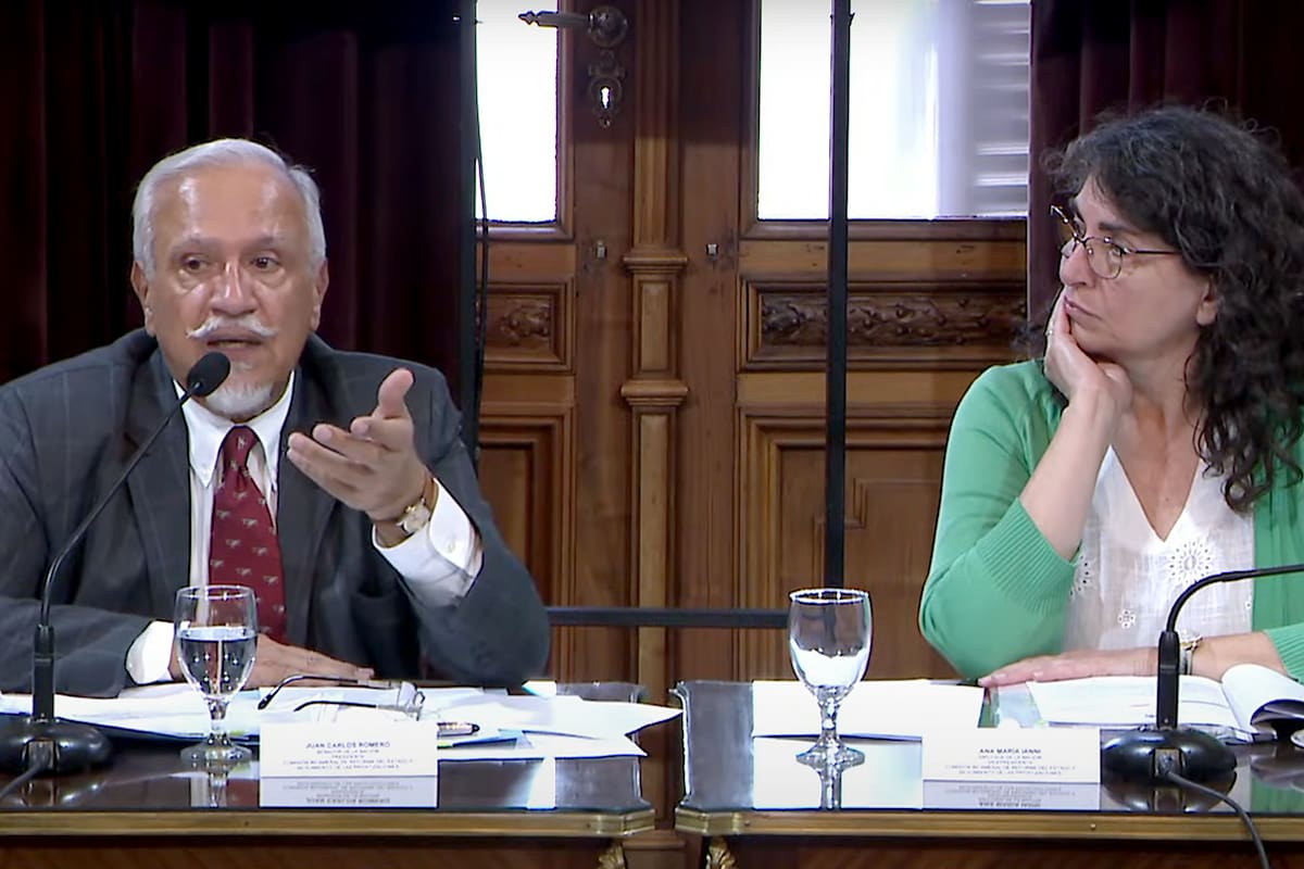 Juan Carlos Romero y Ana María Ianni, presidente y vice de la Comisión Bicameral de Privatizaciones