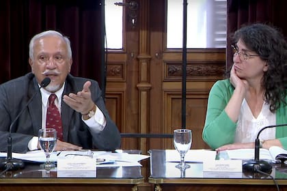 Juan Carlos Romero y Ana María Ianni, presidente y vice de la Comisión Bicameral de Privatizaciones