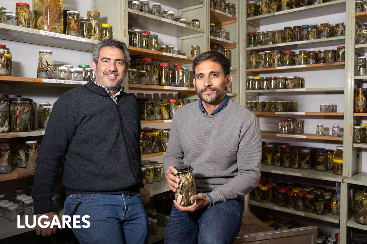 Sebastián Barrionuevo, biólogo y curador de la Colección de Herpetología de la fundación.