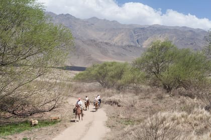 Juan Manuel Moreno guía las cabalgatas.