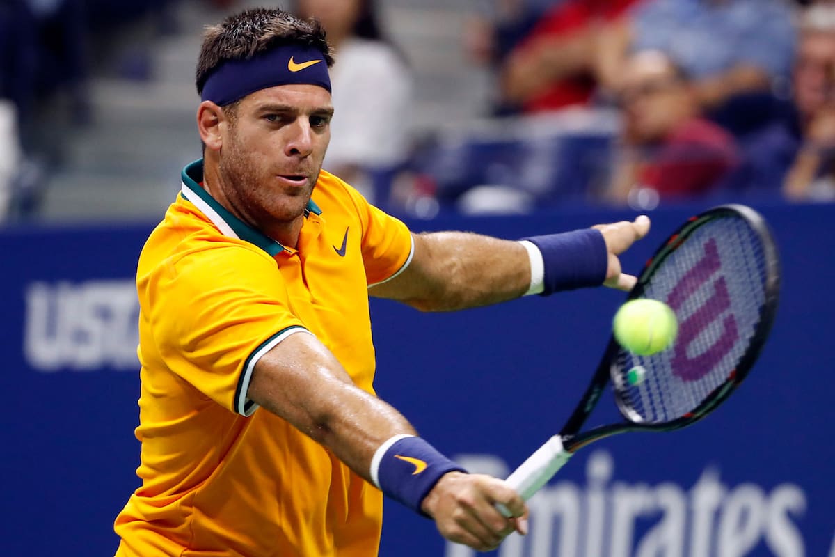 Juan Martín del Potro