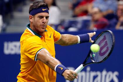 Juan Martín del Potro