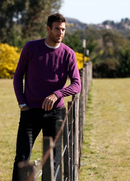 Juan Martín del Potro